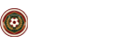 澳超直播